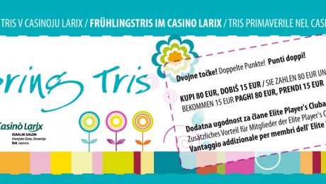 spletna stran glava spring tris