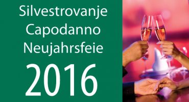 nl2015_spletna